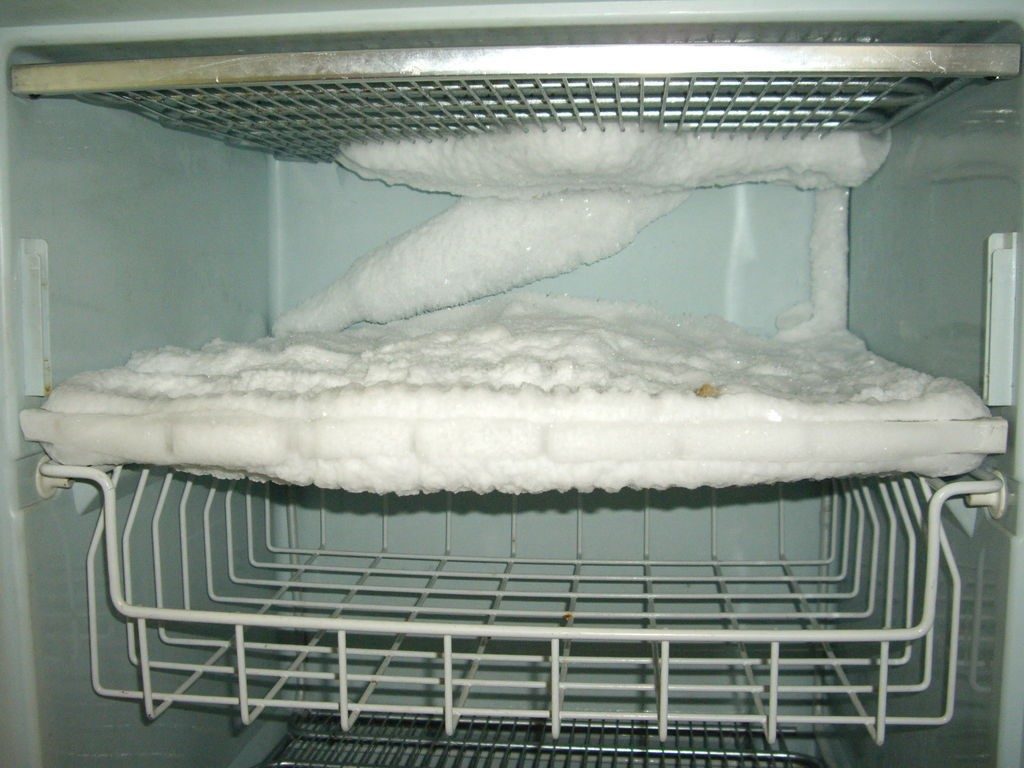 Tủ lạnh nên đứng bao nhiêu sau khi vận chuyển - khi nào và làm thế nào để bật tủ lạnh mới