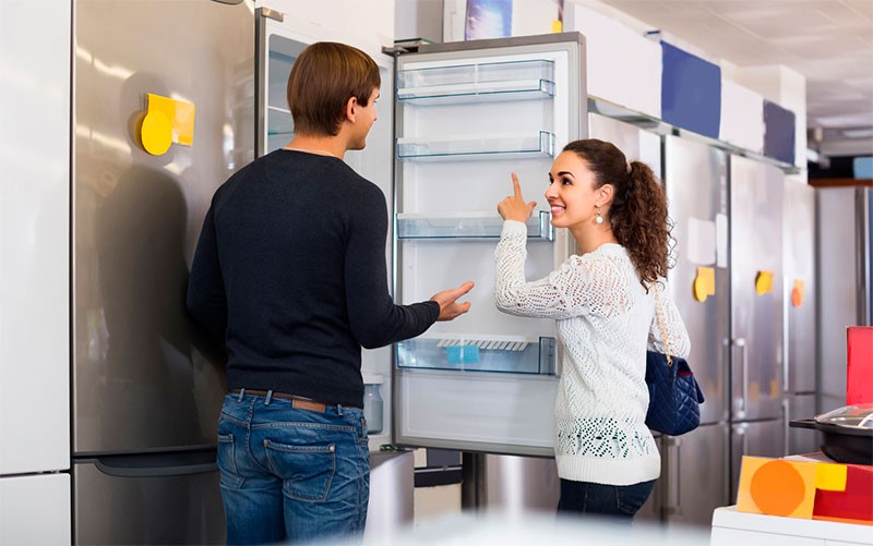 Hoe een koelkast te kiezen: deskundig advies en populaire modellen met prijzen en specificaties