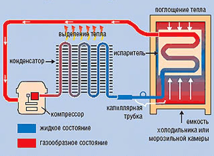 Cómo funciona el refrigerador: el principio y el esquema de trabajo de los equipos de refrigeración de varios tipos