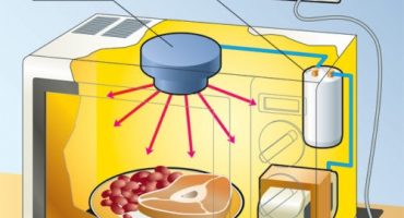 Zasada działania kuchenki mikrofalowej i sposób wyboru odpowiedniego urządzenia