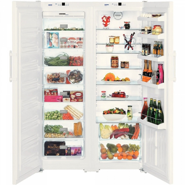 Hoe een koelkast te kiezen: deskundig advies en populaire modellen met prijzen en specificaties