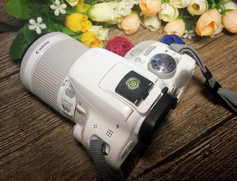 Što je bolja fotokamera Canon ili Nikon?