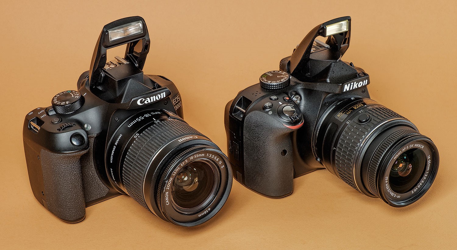 Nikon или canon: кой SLR е по-добър и как да направите избор?