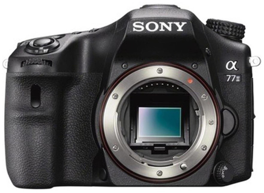 كيف تختار كاميرا SLR (DSLR)؟
