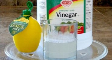 Mikrobølge-rengøring med citron - handling og advarselsalgoritme