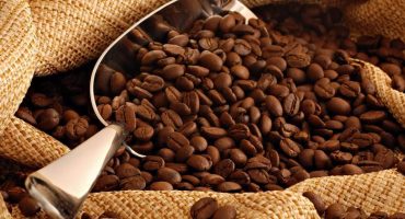 Meilleur café en grains